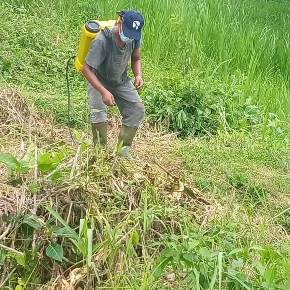 Lahan Pertanian Gunung Kukusan, Salah Satu Program Inklusi Perpustakaan Swa Pustaka Hargorejo